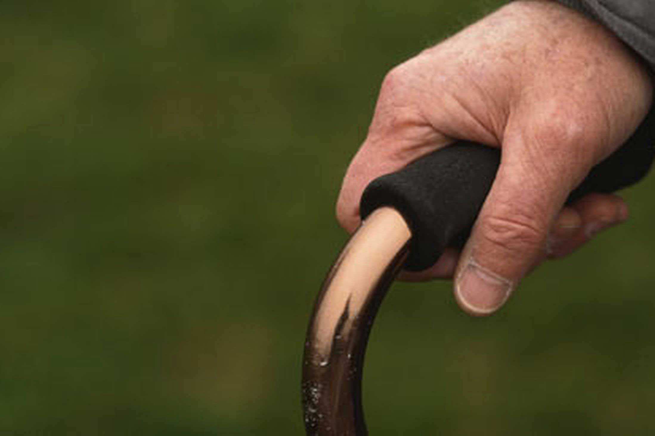 Guidelines to protect the elderly from COVID-19 