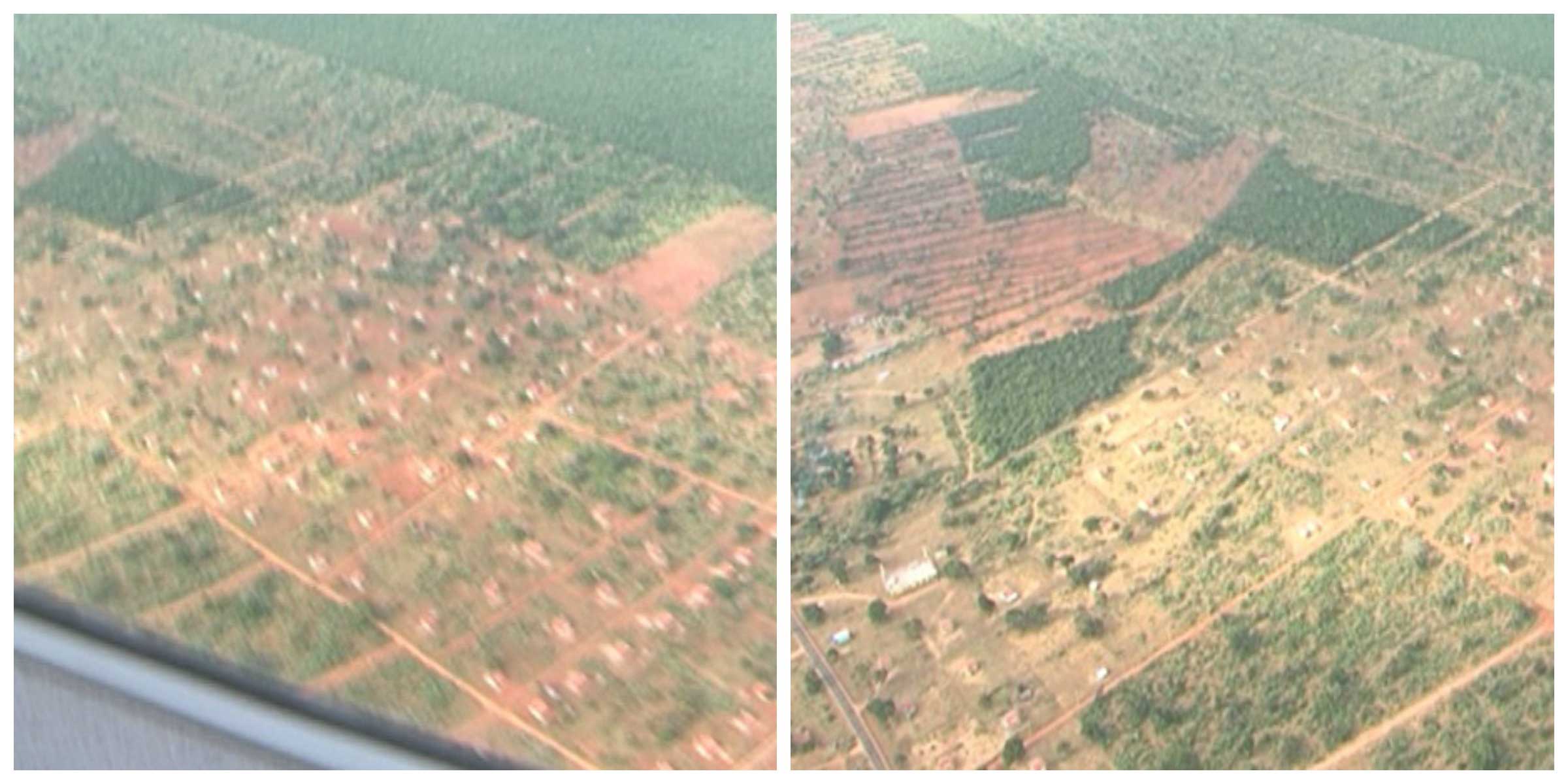 Wilpattu deforestation case verdict on 31st July