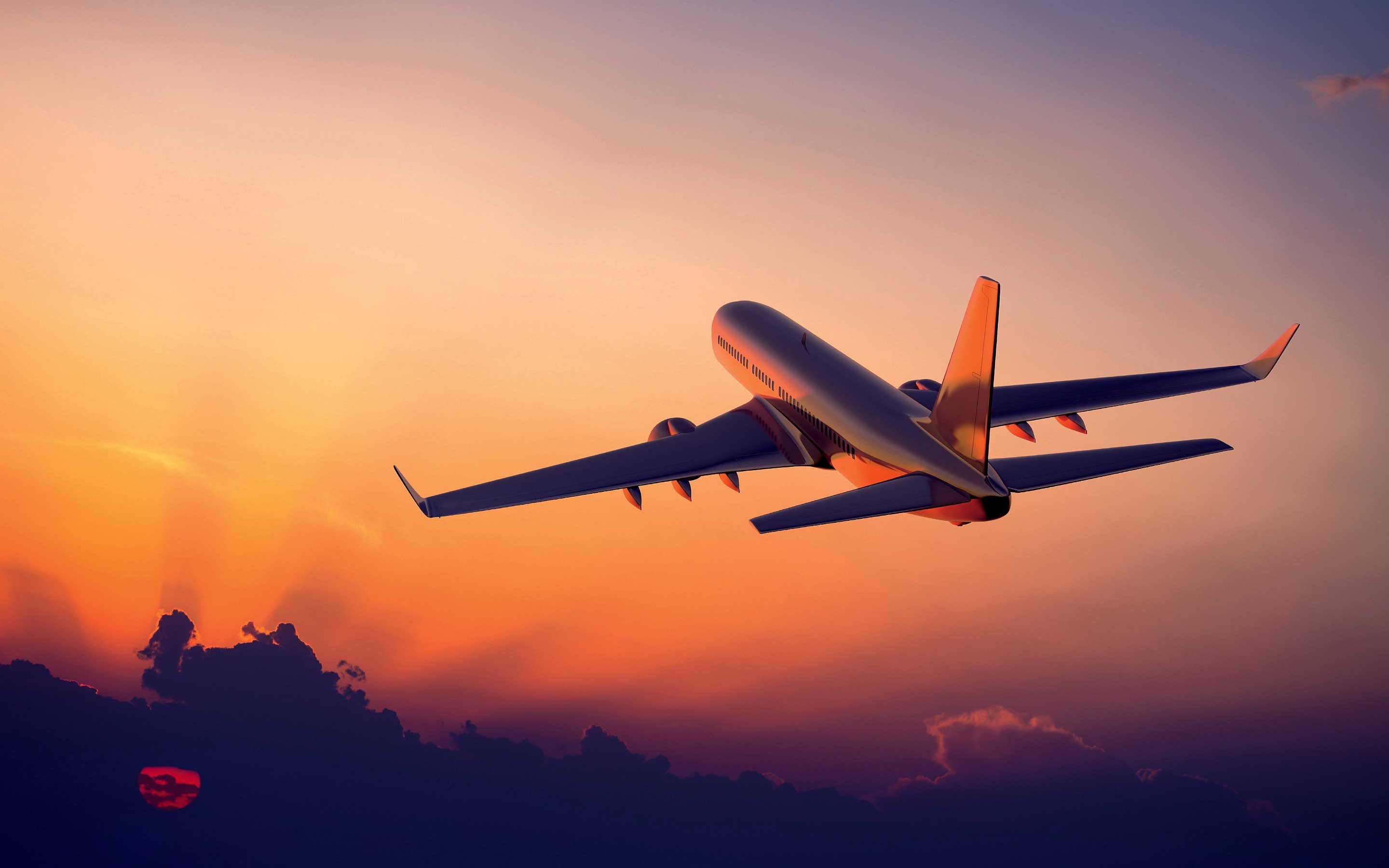 All passenger flight arrivals to Sri Lanka suspend