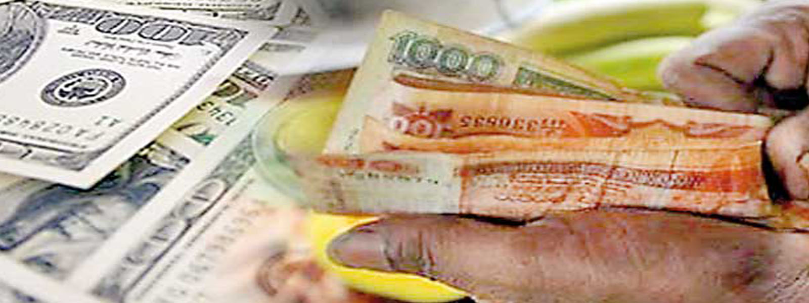 SL rupee hits record low