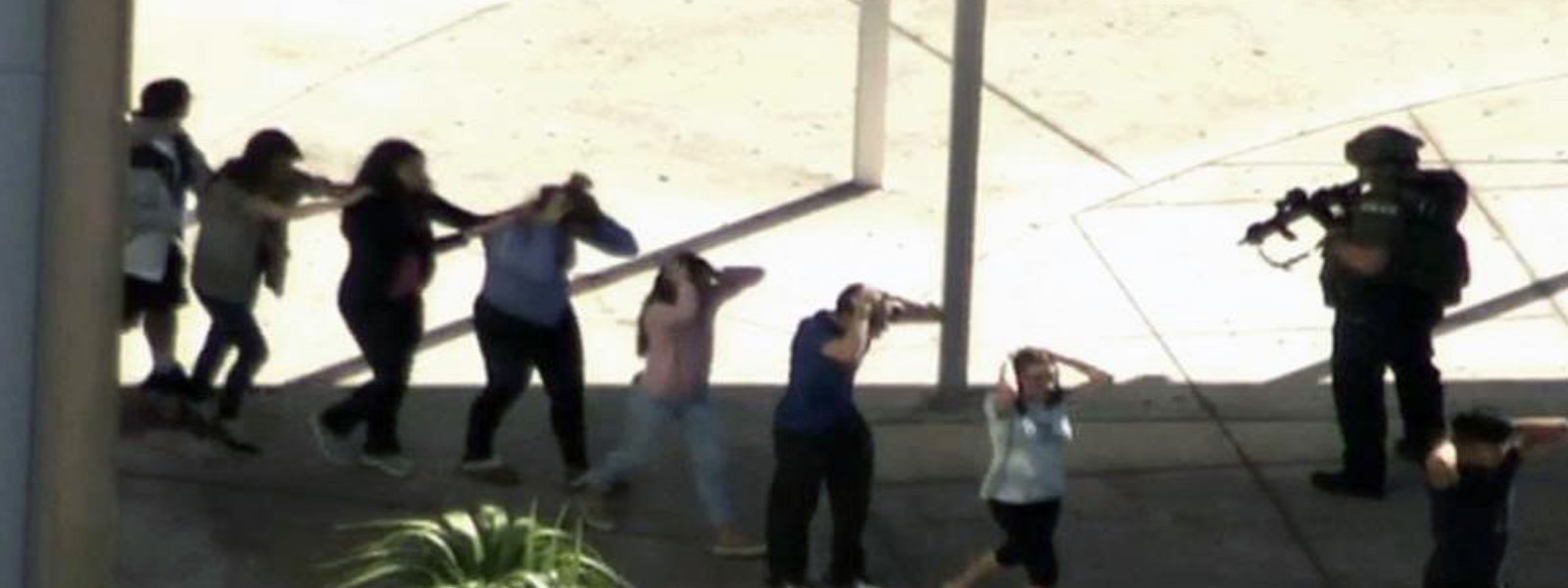 At least 17 dead in Florida school shooting