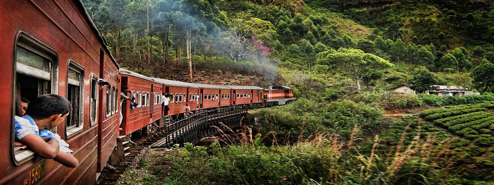 Steps taken to put Nanu Oya train back on track