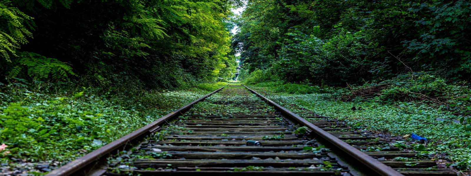 Matara Beliatta Railway to be declared open - 2019