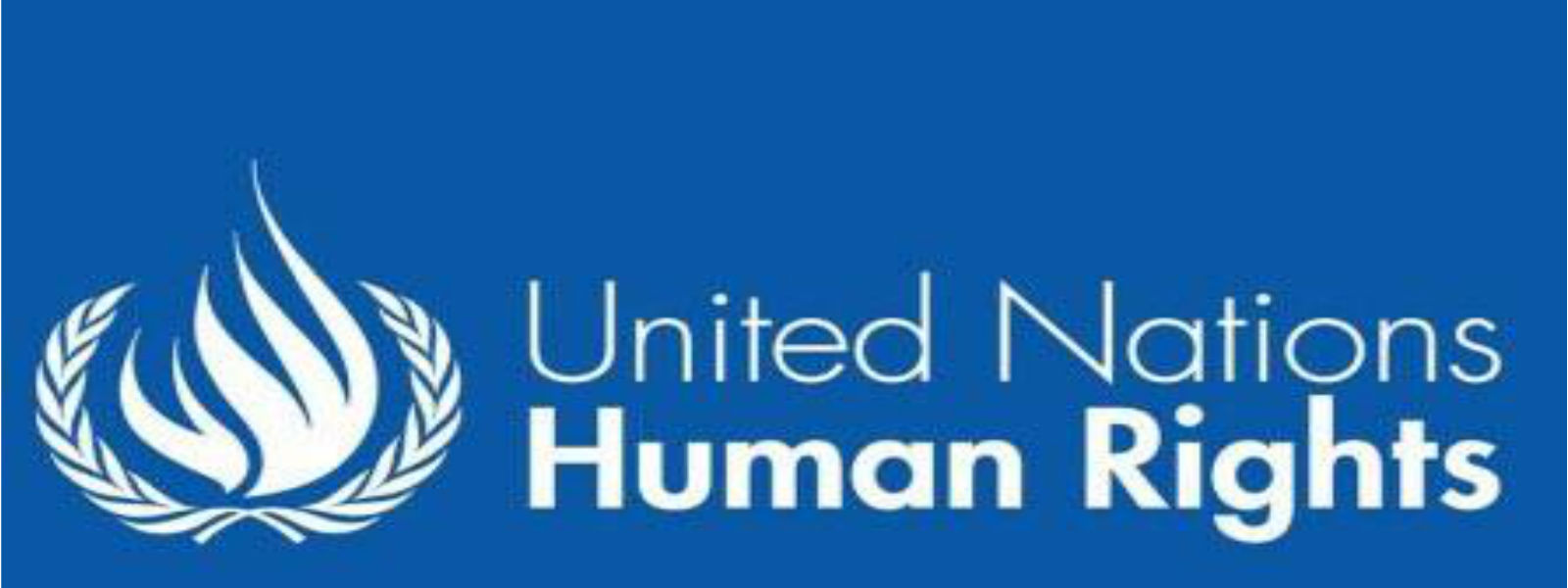 SL action plan on HR to be presented in Geneva