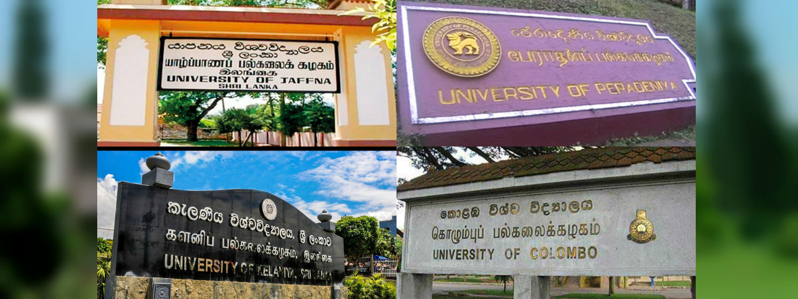 University non-academic staff strike continues