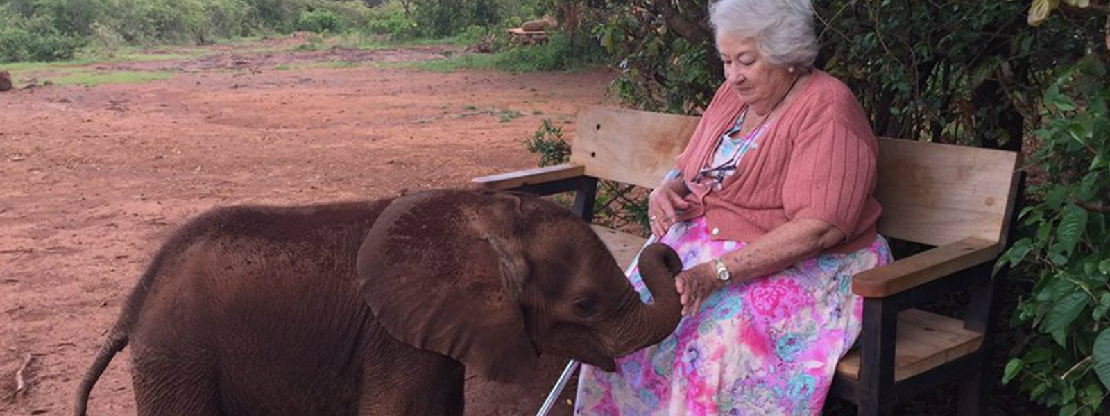 Kenya's elephant queen dies 