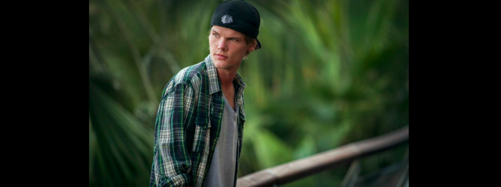 Avicii committed suicide