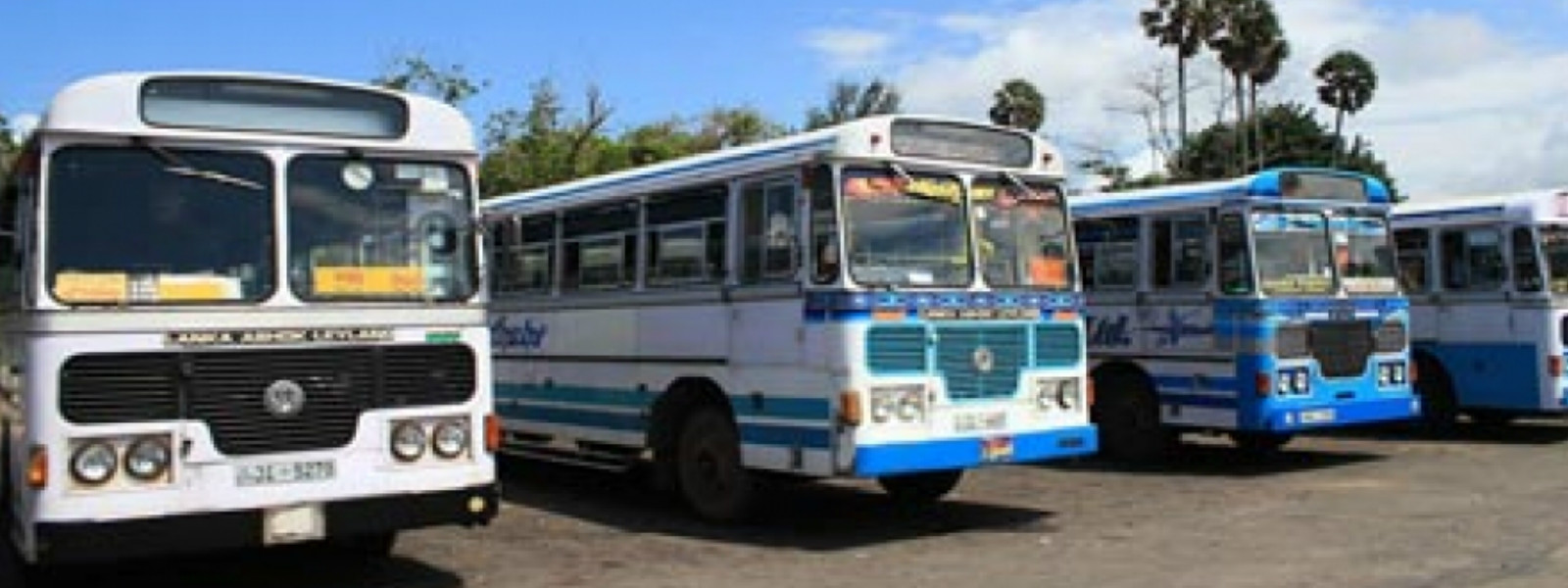 Bus fares: Cabinet paper to be presented
