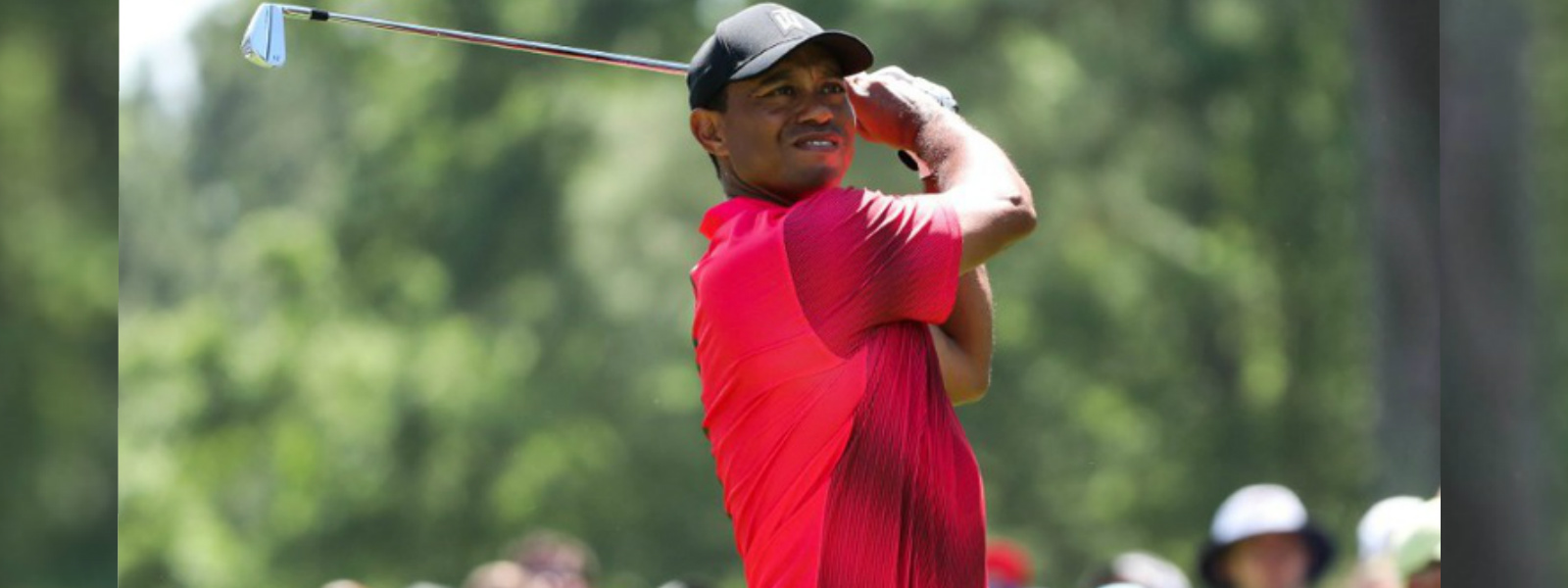 Tiger Woods to play in British Open at Carnoustie