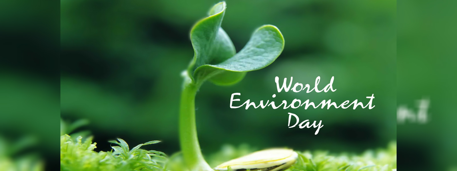 President's message on world environment day