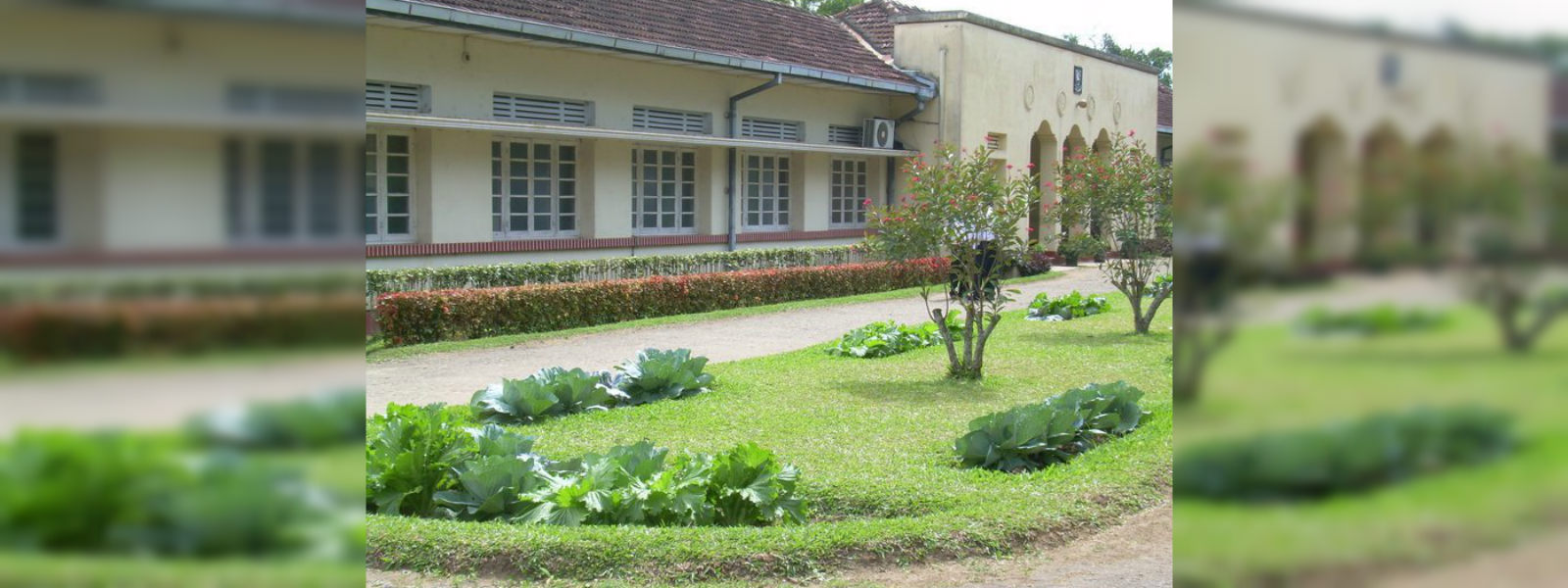Kundasale Agri school closed due to viral outbreak