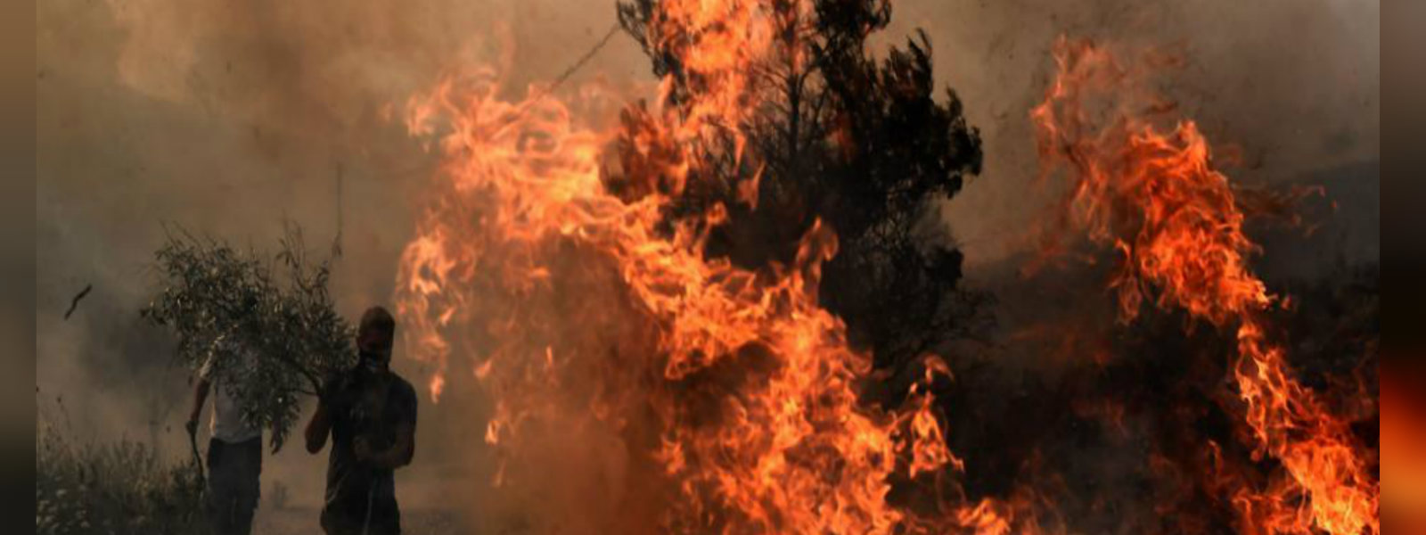 Wild fires in Athens, Greece claims lives of 20 