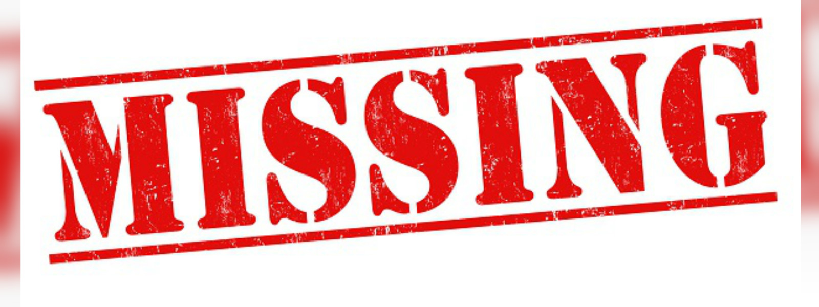 Fisherman missing in sea off Sandilipay