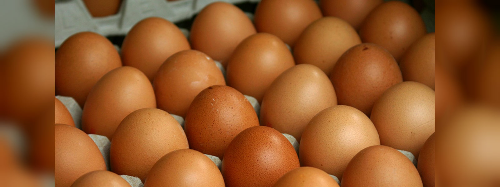 Government stops importing eggs