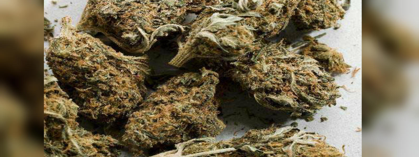 5 arrested with over 2.5kg Ganja in Omanthei