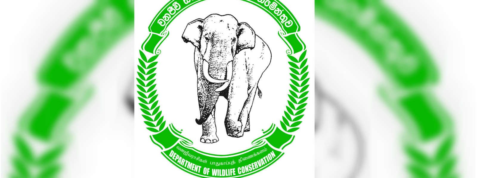 Wildlife officers in Mahaweli & Trinco to strike