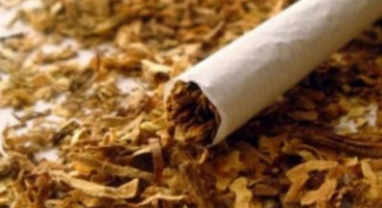 14 tonnes of illegal tobacco seized by customs