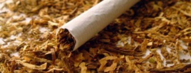 14 tonnes of illegal tobacco seized by customs