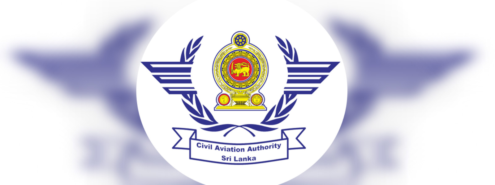 CAA to improve domestic flights