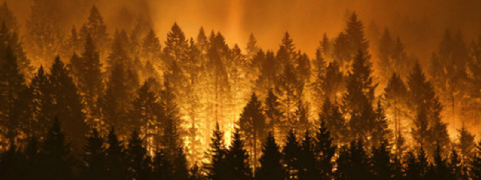 Wildfire ravages parts of Oregon