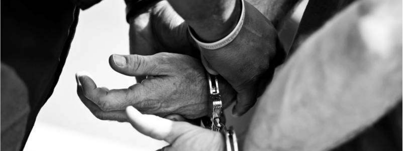 12 illegal immigrants arrested in Chilaw