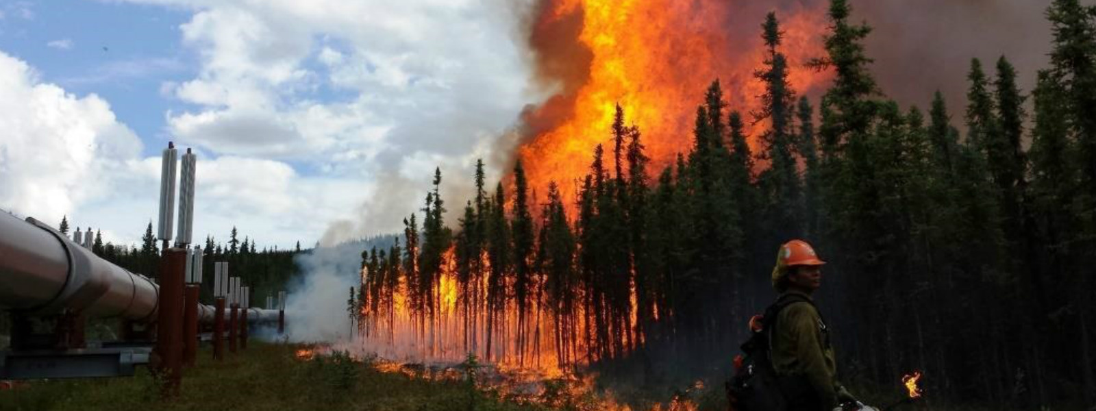 Wildfires rage in British Columbia, Canada