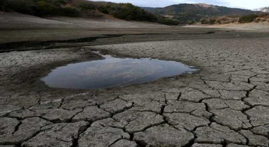 Government to grant Rs 5000 drought allowance