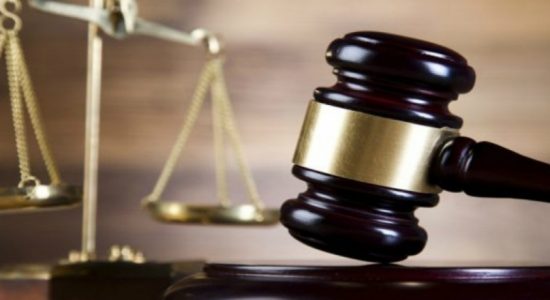 Import-Export controller further remanded