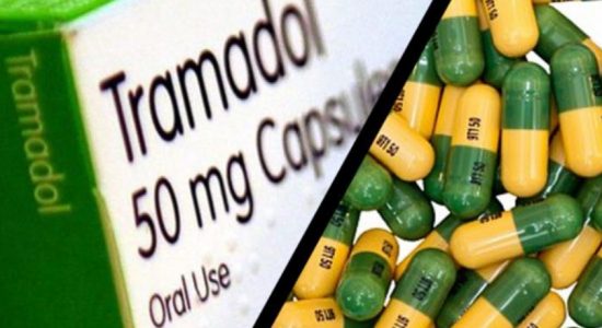 Police take 5000 Tramadol pills into custody