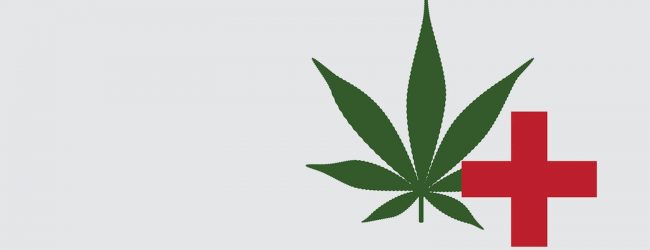 Cannabis to be grown for ayurvdeic medicine in SL