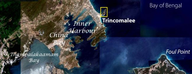 A tremor in Trincomalee Bay