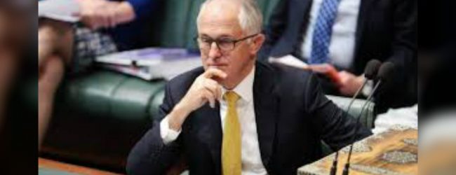 Fmr PM Turnbull discusses same-sex marriage bill 