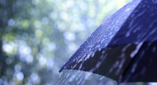 Rainfall of 100 mm to be expected in several areas