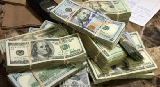Two locals arrested for smuggling over 36 mn USD  