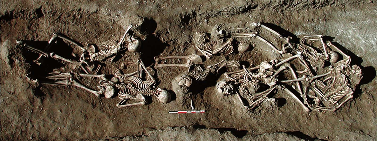 187 human skeletals uncovered from Mannar grave 