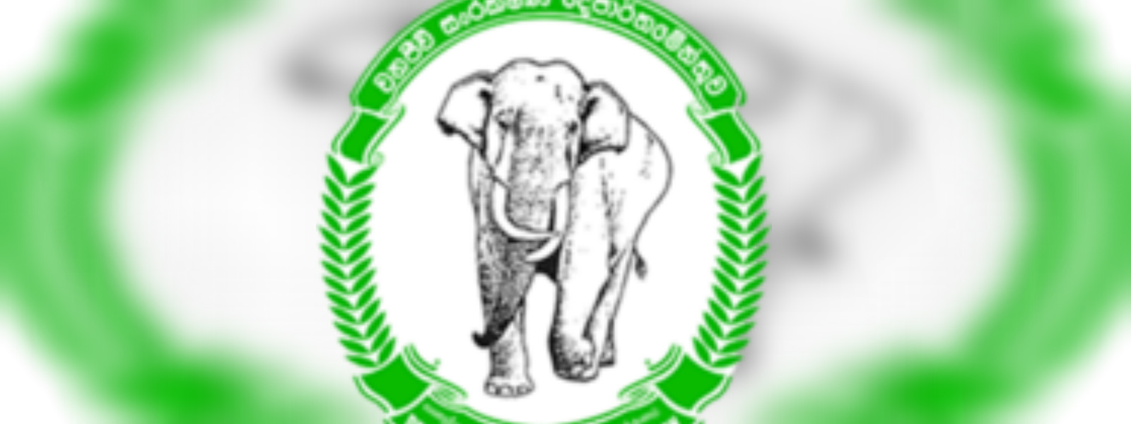 Wildlife officer killed in elephant attack