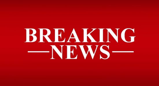 Supreme court issues verdict on 20th amendment 