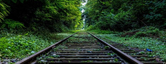 Matara Beliatta Railway to be declared open - 2019