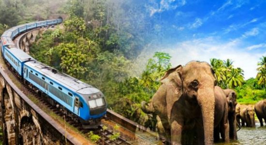 Sri Lanka best country to visit in 2019 