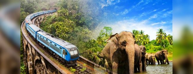Sri Lanka best country to visit in 2019 
