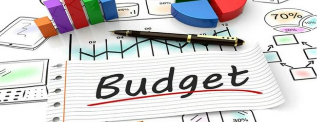 Possible public sector salary hike in 2019 Budget
