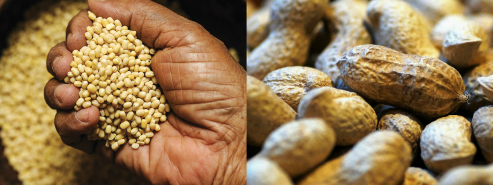 Govt. to ban importation of peanuts and Oried