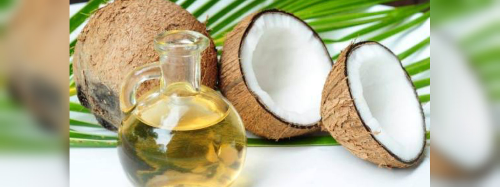 Recently increased levy on coconut oil suspended