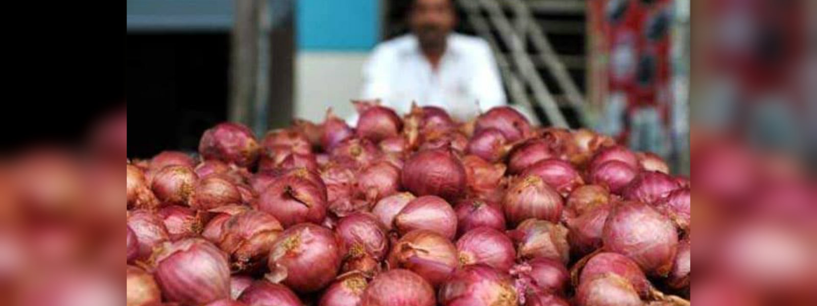 Government to purchase big onions at Rs. 80 
