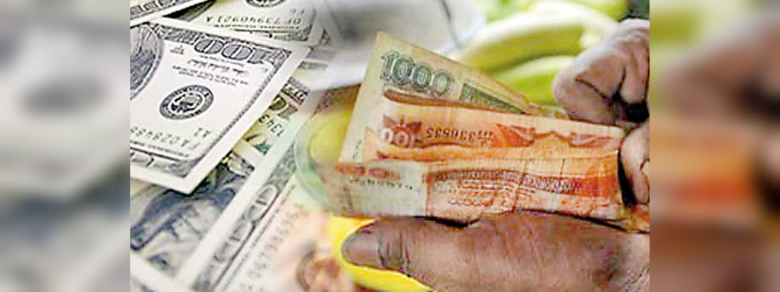 Sri Lankan Rupee falls to 176.52 against US$