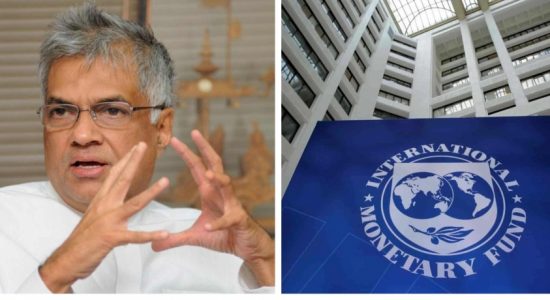 IMF halted support due to SL's confusing situation