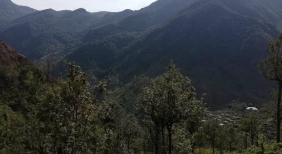Search for German national who fell off Worlds end