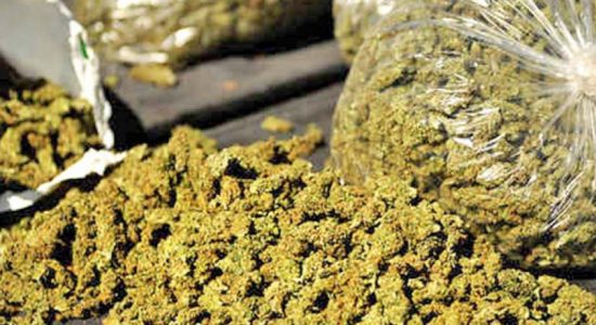 45-year-old arrested with Kerala Ganja