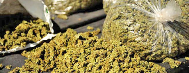 45-year-old arrested with Kerala Ganja