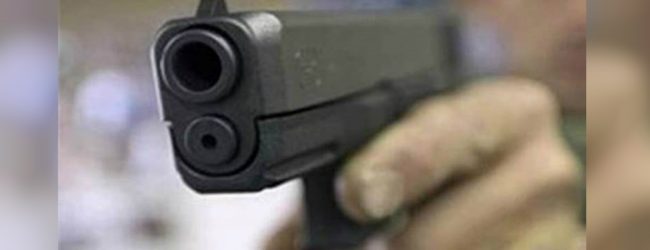 Police accidentally shoots two